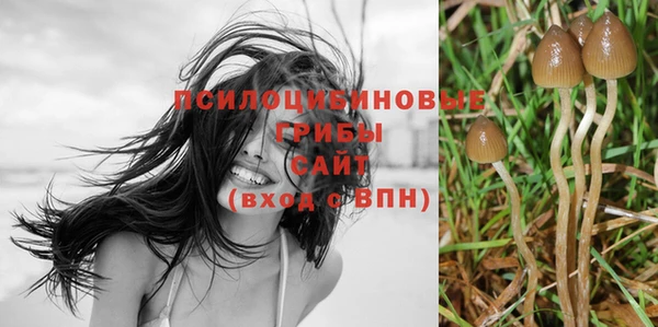 гидропоника Покачи