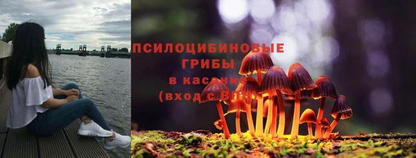 гидропоника Покачи