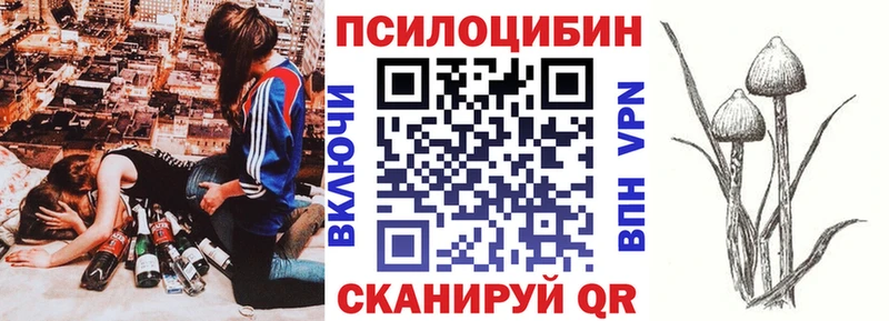 Псилоцибиновые грибы Cubensis  даркнет сайт  Шелехов 